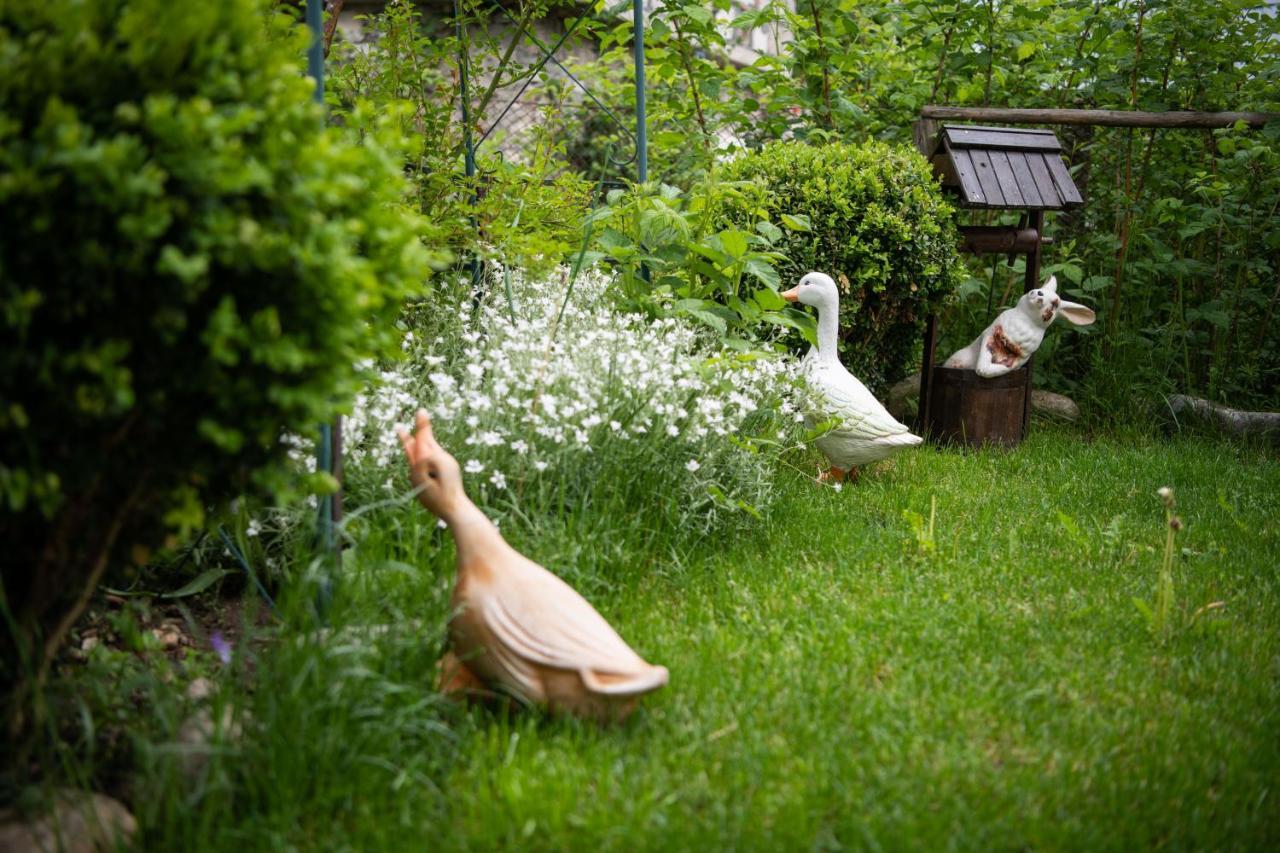 Guest House Rossy Триград Екстериор снимка